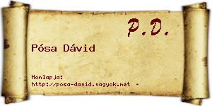Pósa Dávid névjegykártya
